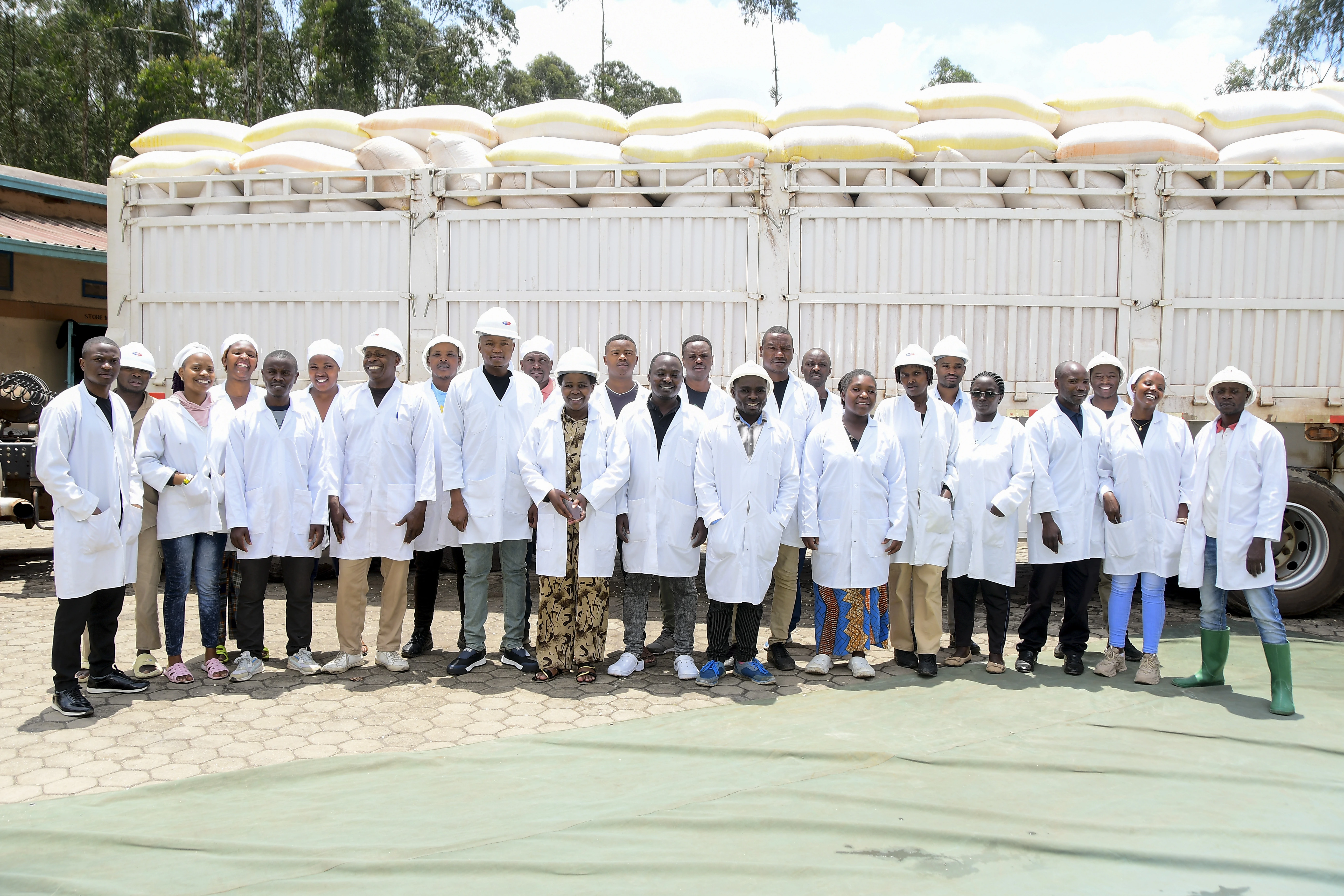 Maize Flour Processing